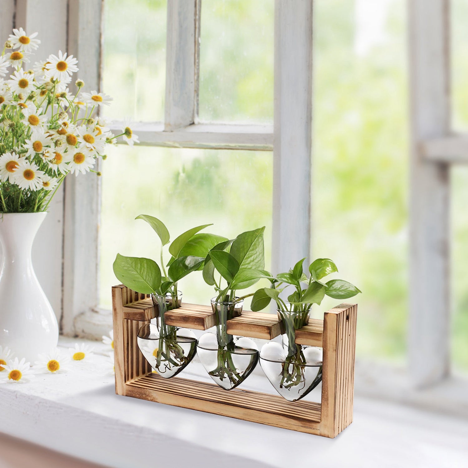 Vases & Vessels