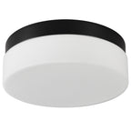 Low-Profile LED Flush Mount Ceiling Light, 3 Color Modes, Energy-Saving 24W