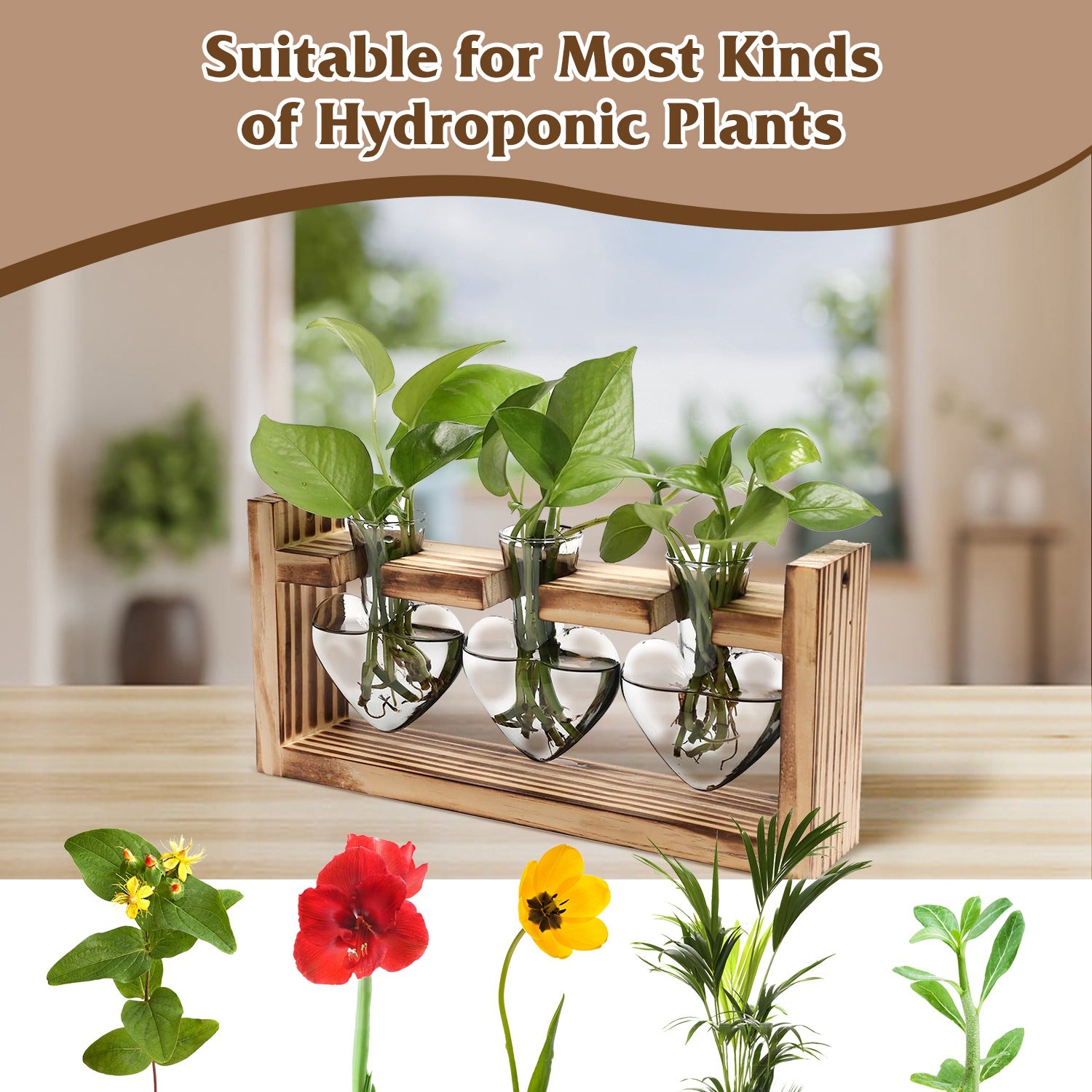 Wood Plant Propagation Station Terrarium, 3 Heart-Shaped Glass Vases