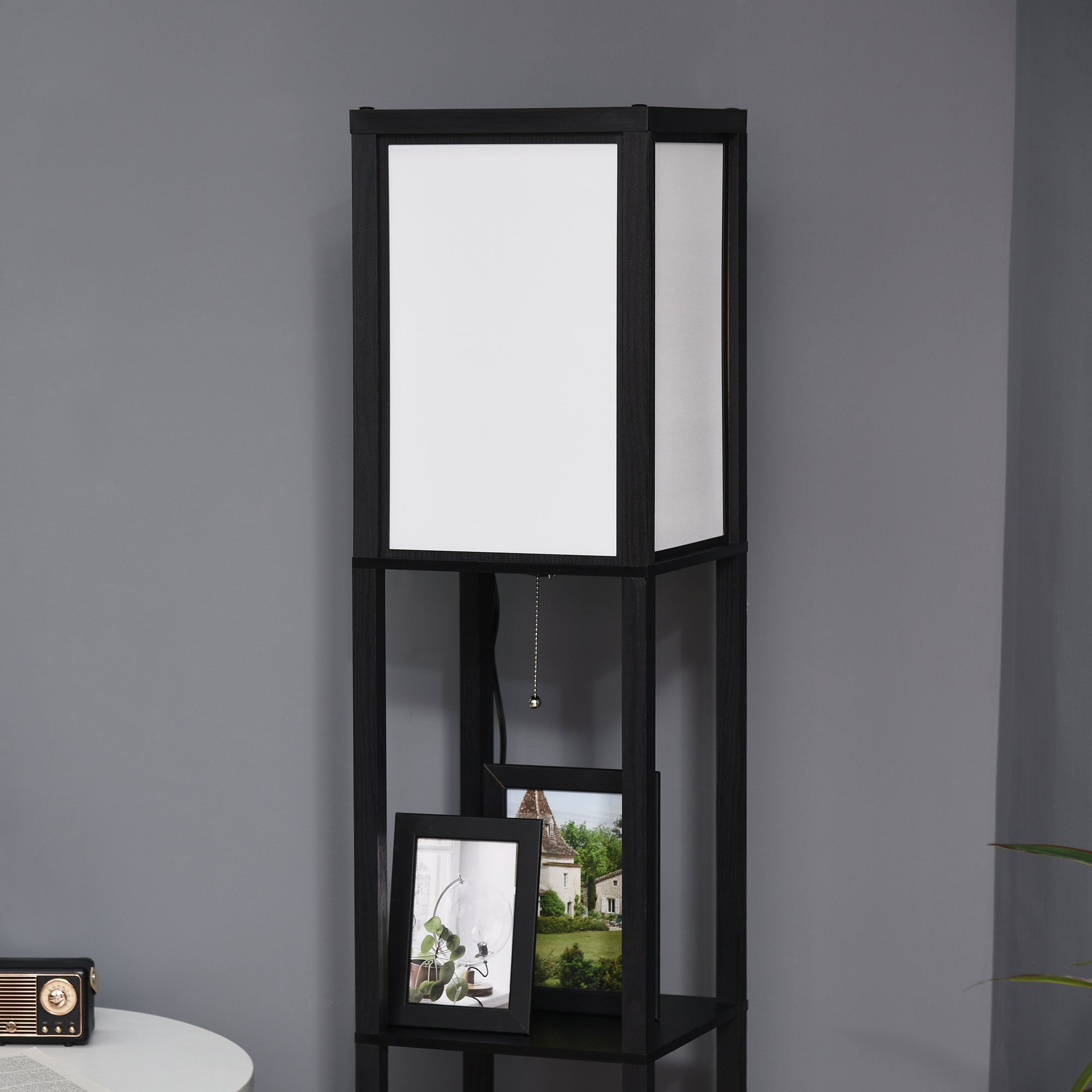 Modern Shelf Floor Lamp, Dual Ambient Light, Built-In Storage, Black Finish