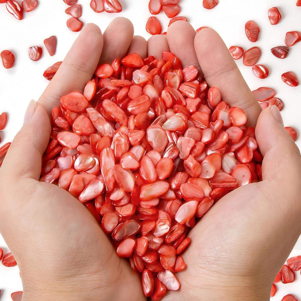 Small Natural Crushed Shells For Crafts About 2LB 900g 31.74oz DIY Bea