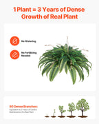 Artificial Ferns