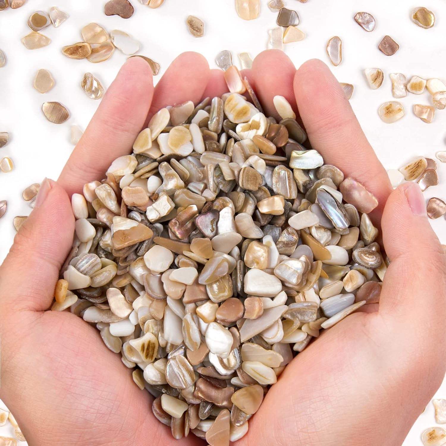 Small Natural Crushed Shells For Crafts About 2LB 900g 31.74oz DIY Bea