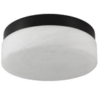 Black 12 in. LED Flush Mount Ceiling Light, Round Low-Profile Fixture