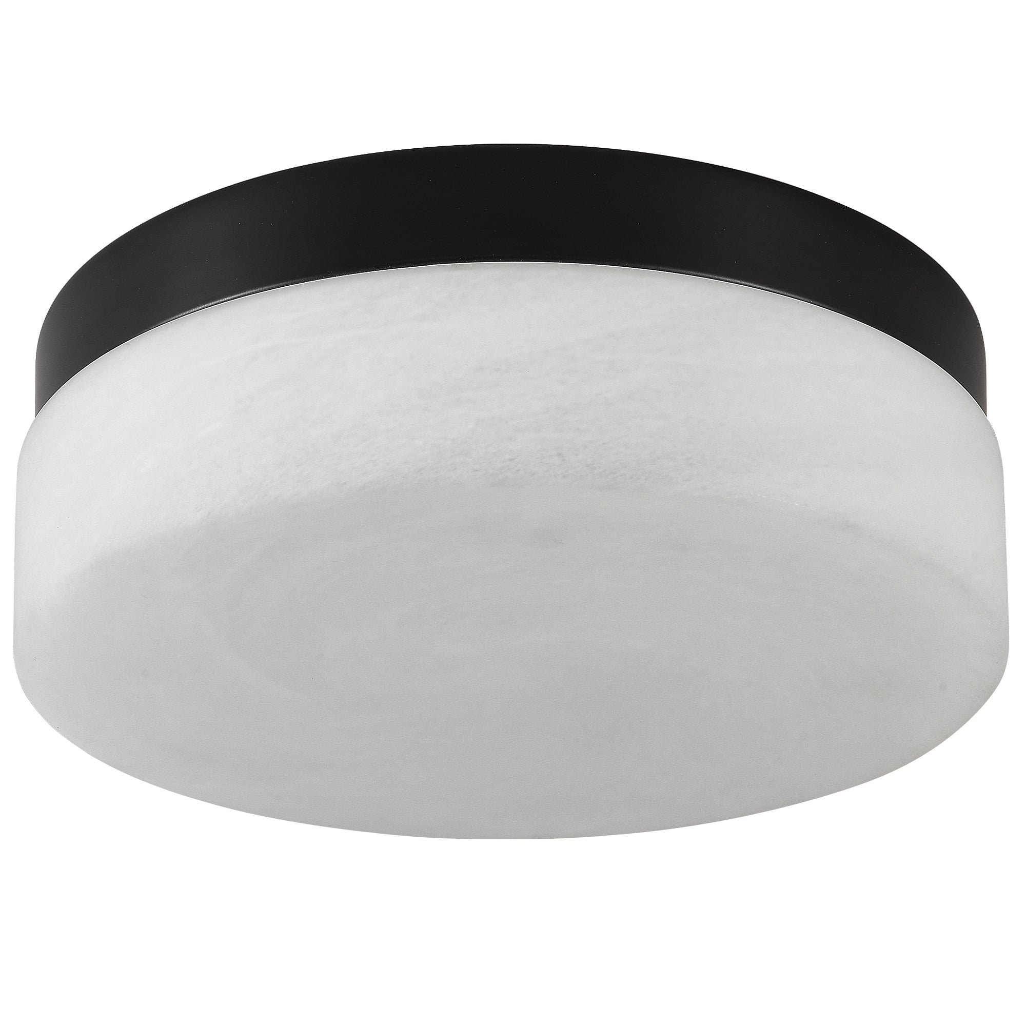 Black 12 in. LED Flush Mount Ceiling Light, Round Low-Profile Fixture