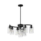 9-Light Black Iron Chandelier with Clear Glass Shades, 30 in