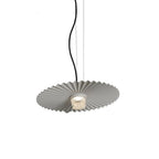 Modern Iron Pendant Light, LED, 14, 16, or 20 in