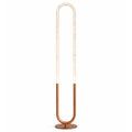 Contemporary LED Floor Lamp, Living Room Centerpiece, Bronze & Clear Finish