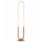 Contemporary LED Floor Lamp, Living Room Centerpiece, Bronze & Clear Finish