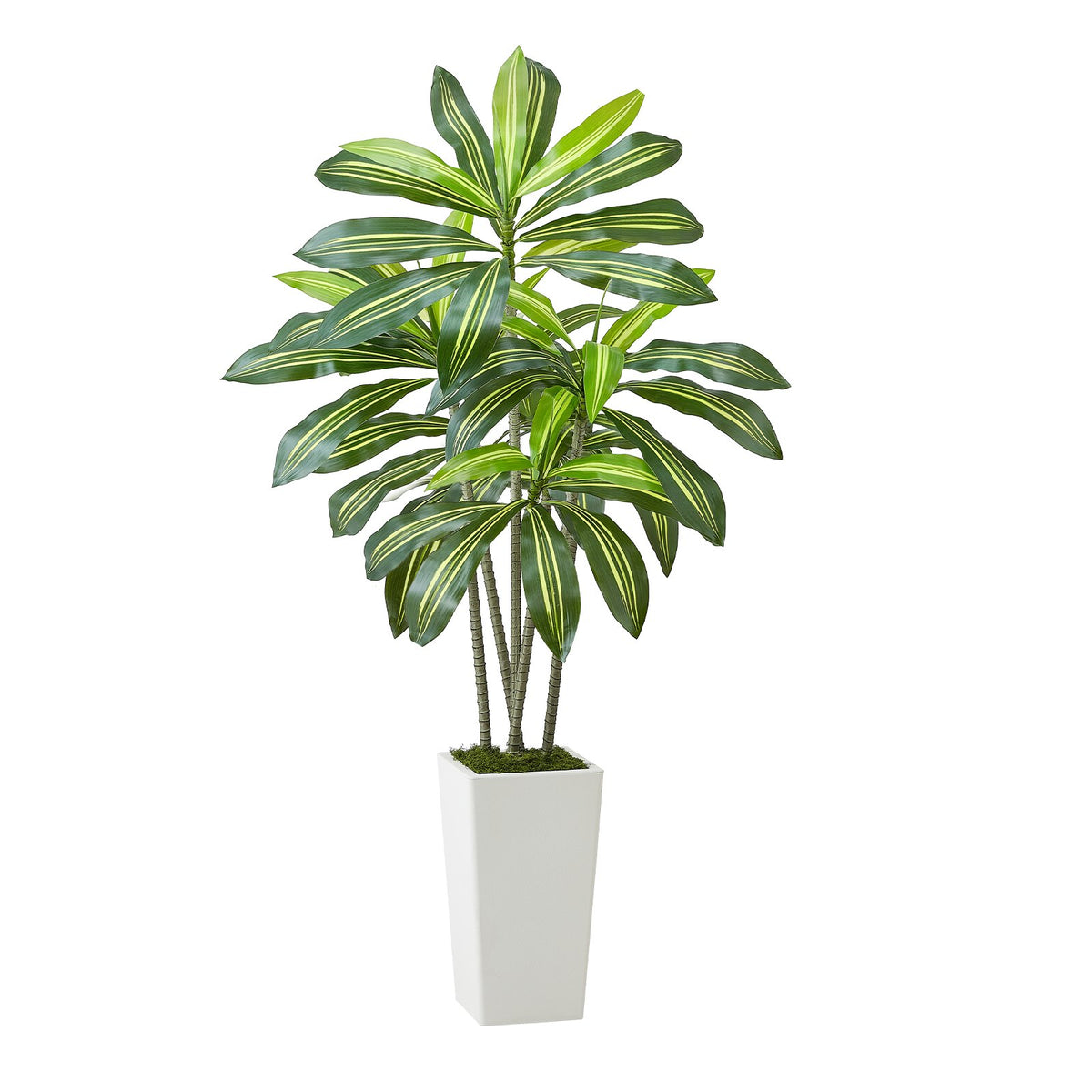 Artificial Dracaena Tree, 5 ft Faux Potted Plant, Green, for Living Room Corner — detail view