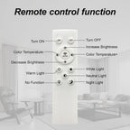 Modern LED Ceiling Light, 4-Head Acrylic Flush Mount