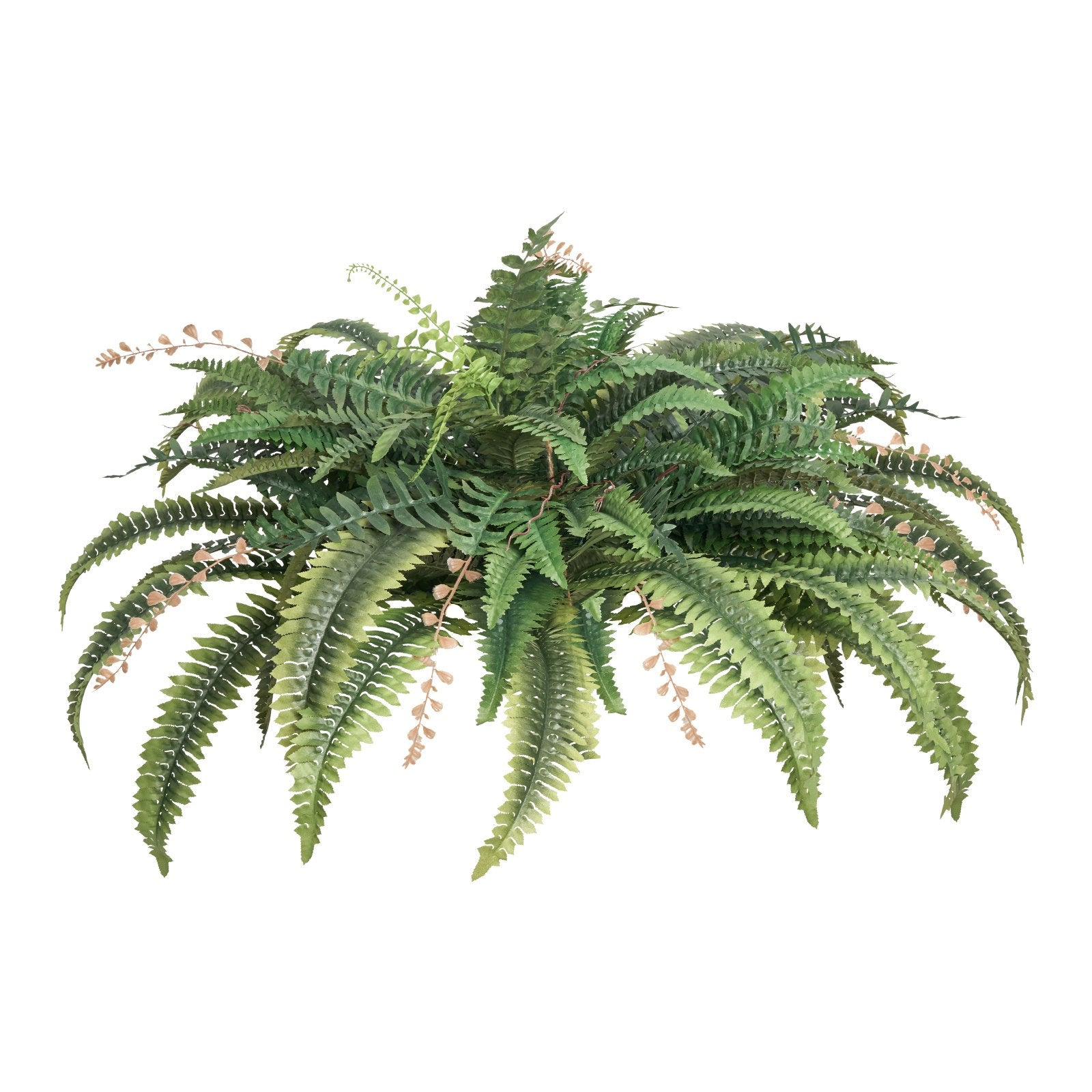 Artificial Ferns