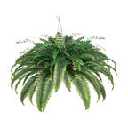 Artificial Ferns