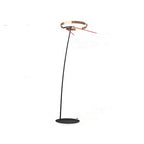 Arc Floor Lamp with LED Ring Head, Cantilever Design