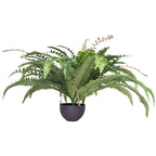 Artificial Ferns