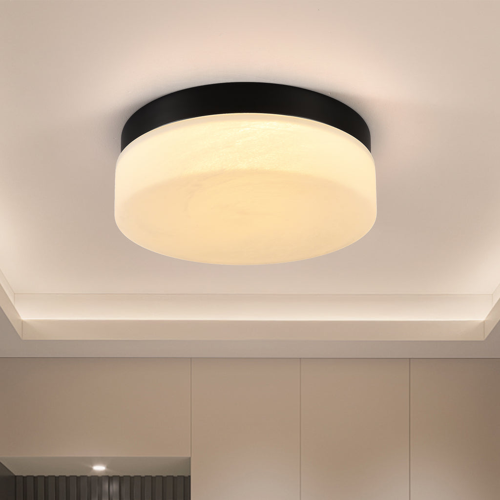 Black 12 in. LED Flush Mount Ceiling Light, Round Low-Profile Fixture