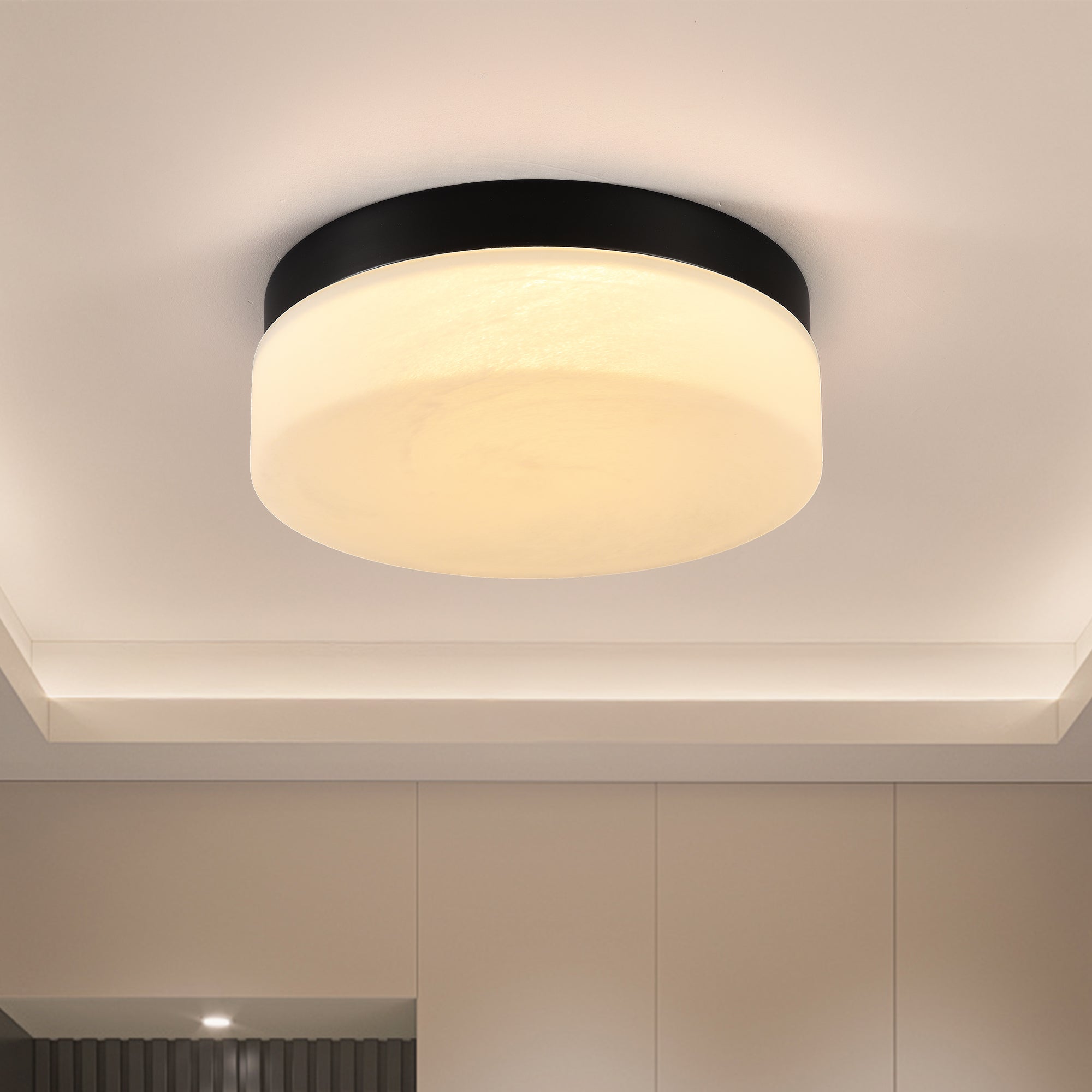 Black 12 in. LED Flush Mount Ceiling Light, Round Low-Profile Fixture