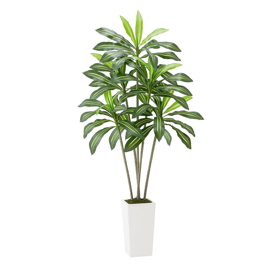 Artificial Dracaena Tree, 6 ft Faux Plant, Green, for Living Room