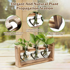 Wood Plant Propagation Station Terrarium, 3 Heart-Shaped Glass Vases