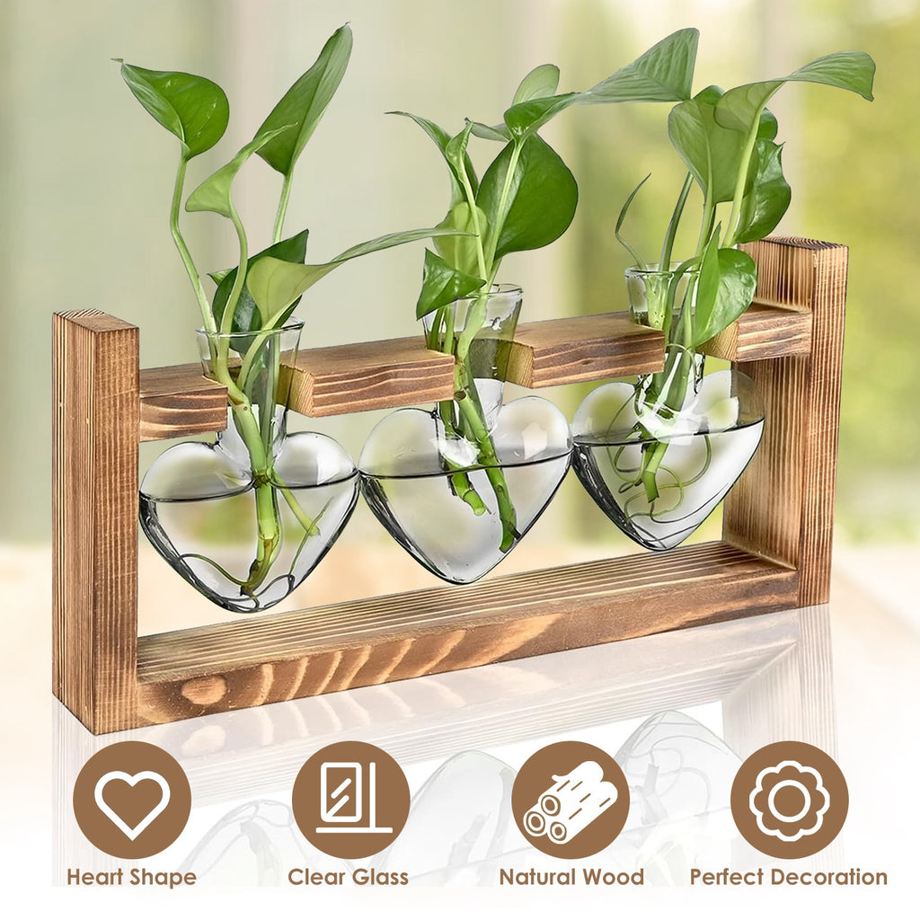 Wood Plant Propagation Station Terrarium, 3 Heart-Shaped Glass Vases