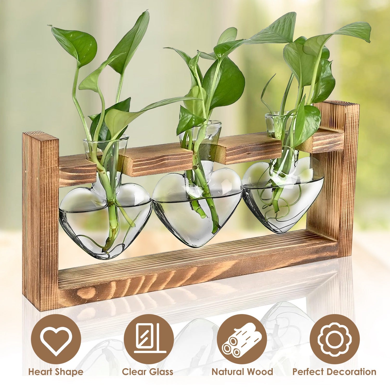Wood Plant Propagation Station Terrarium, 3 Heart-Shaped Glass Vases