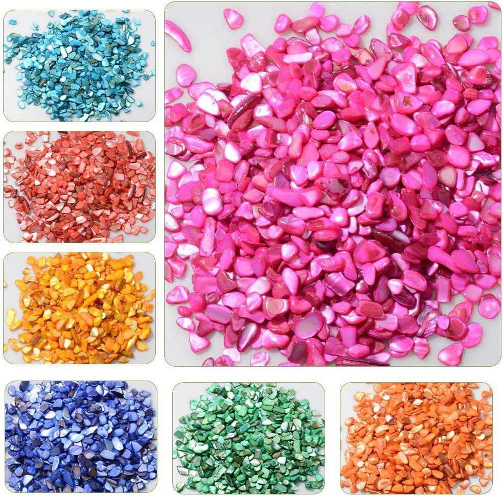 Small Natural Crushed Shells For Crafts About 2LB 900g 31.74oz DIY Bea