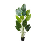 6ft Artificial Bird Of Paradise Tree Fake Plant With Pot Indoor Outdoo