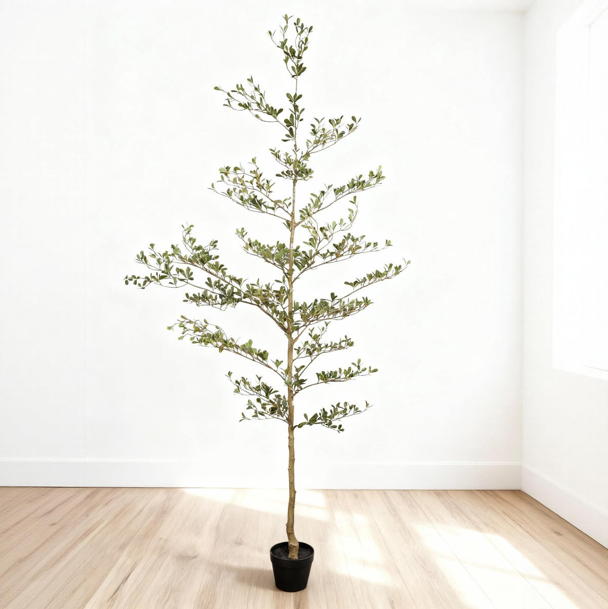 7 ft faux black olive tree in its black pot in a bright, empty white room