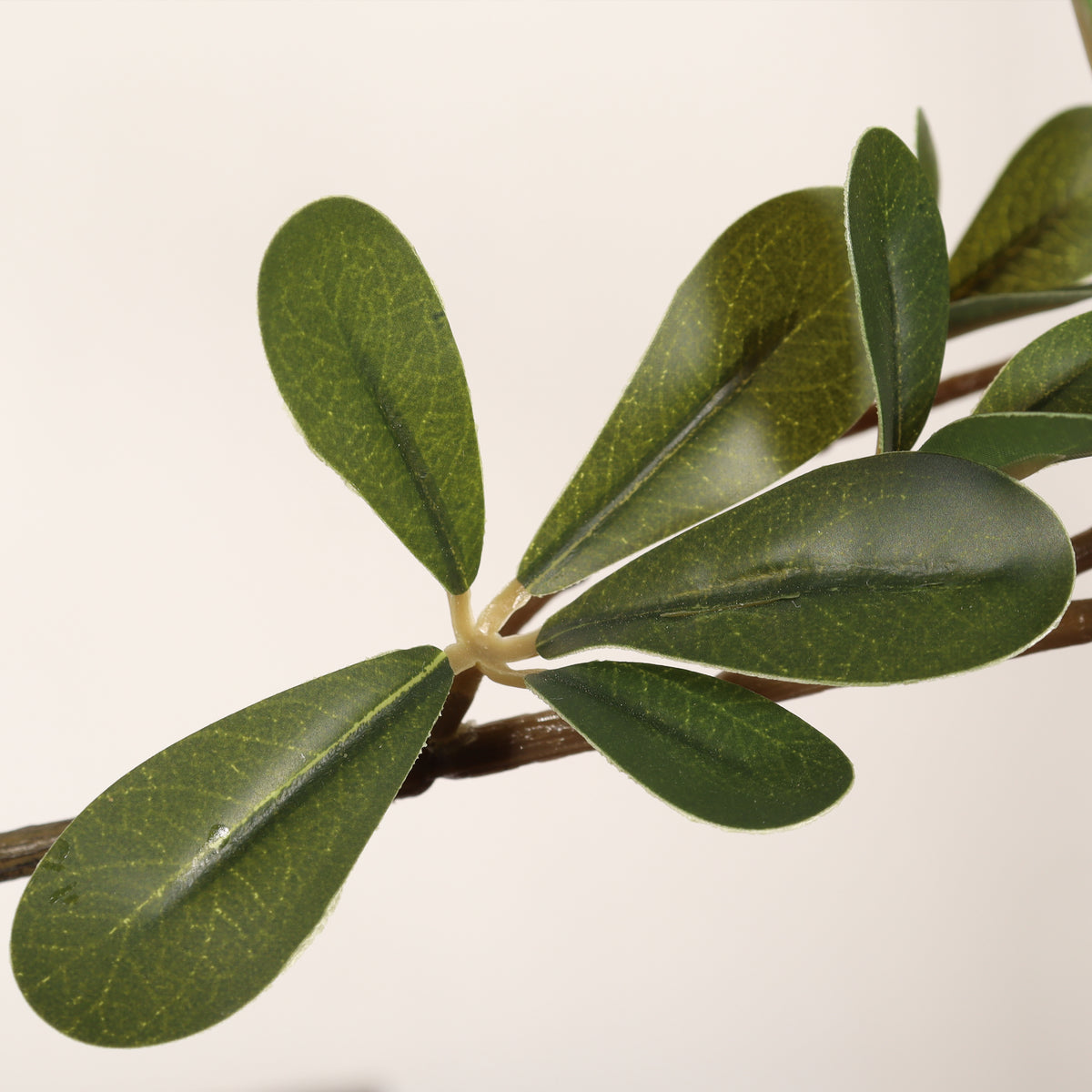 Faux black olive tree — detail of the small oval leaf clusters