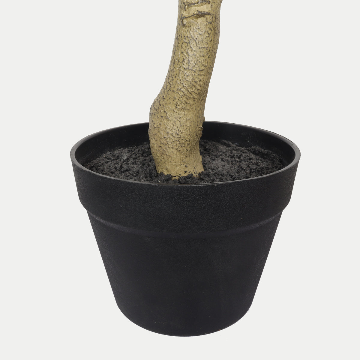 Faux black olive tree — detail of the trunk set in its black pot