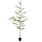 Faux black olive tree, 7 ft, with tiered branches in a black pot on a plain white background