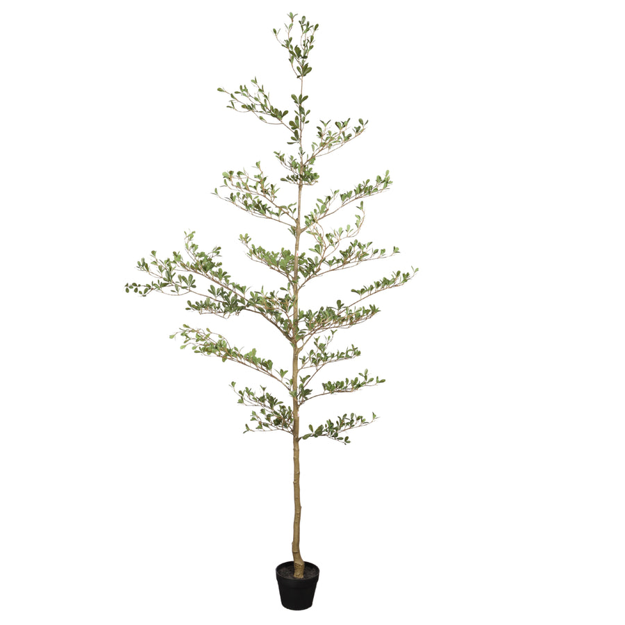 Faux black olive tree, 7 ft, with tiered branches in a black pot on a plain white background