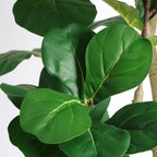 Faux fiddle leaf fig tree — detail of the broad, veined leaves