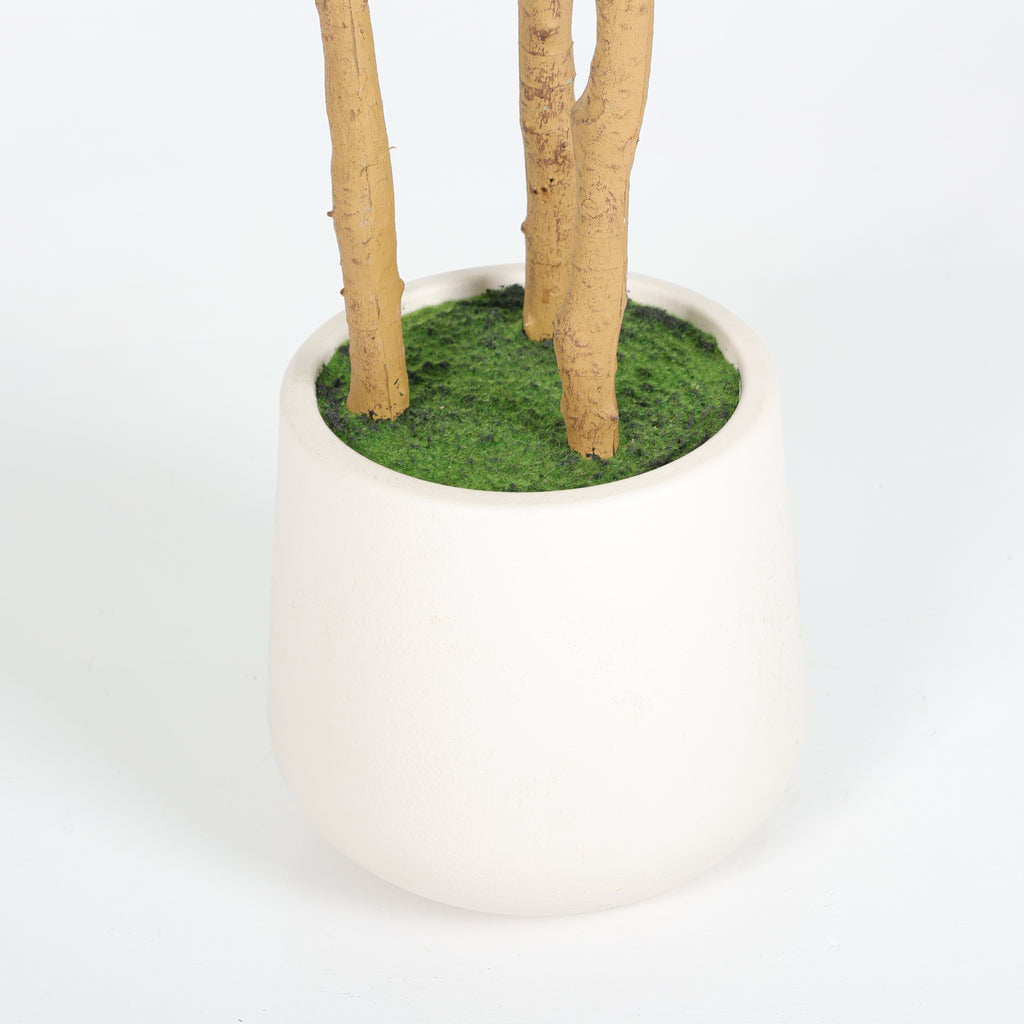 Faux fiddle leaf fig tree — detail of the white pot, faux moss and three trunks