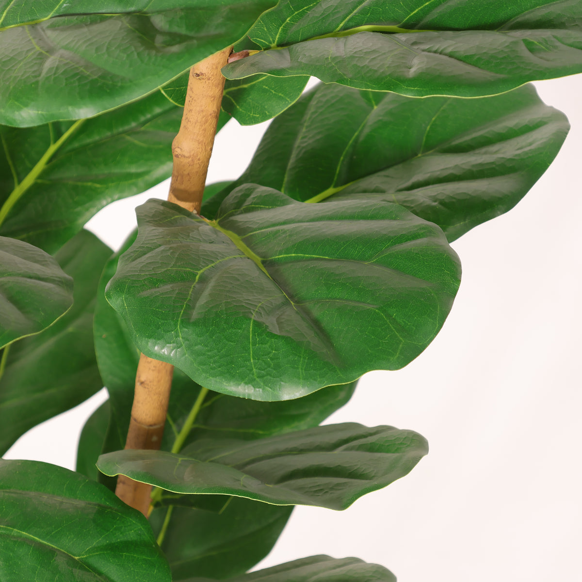 Faux fiddle leaf fig tree — detail of the broad, veined leaves