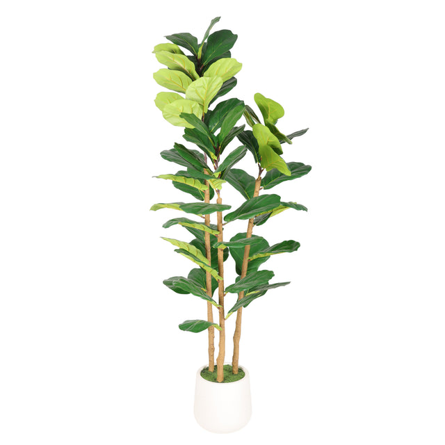 Faux fiddle leaf fig tree, 5.2 ft, in a white pot with moss on a plain white background