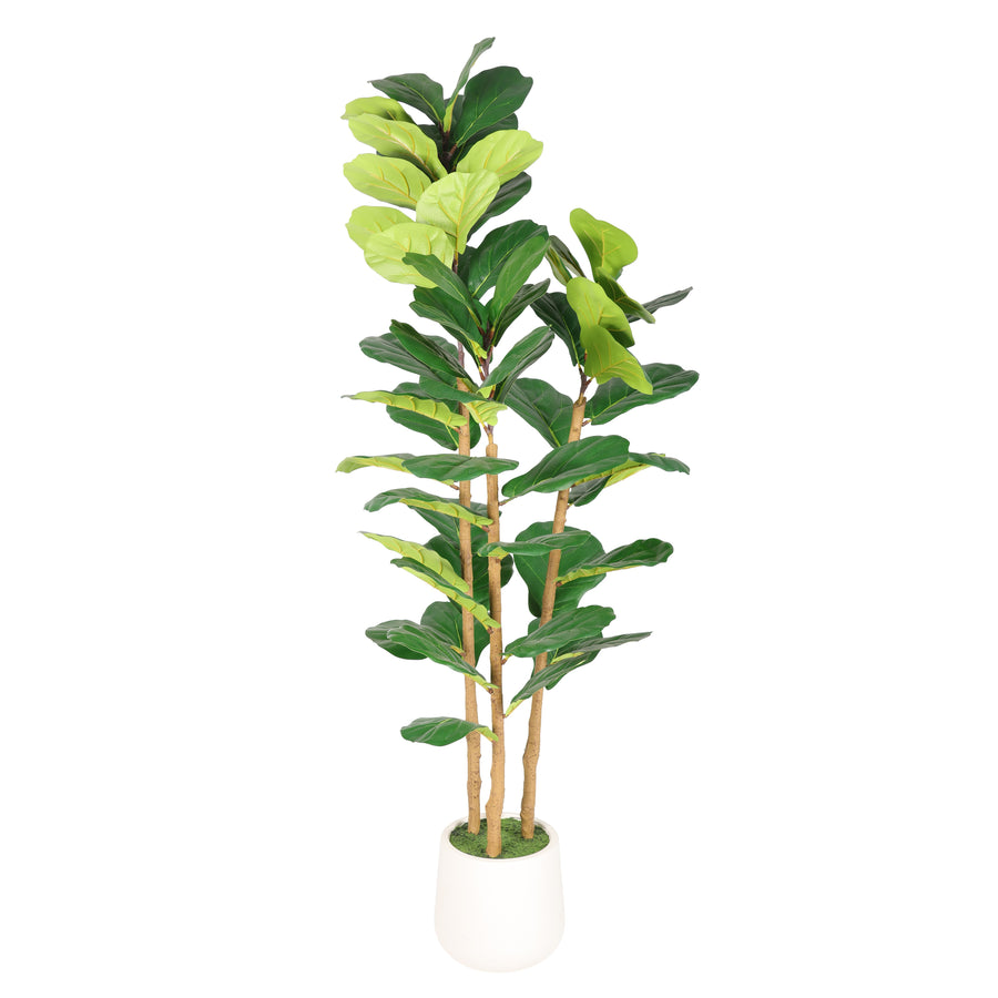 Faux fiddle leaf fig tree, 5.2 ft, in a white pot with moss on a plain white background