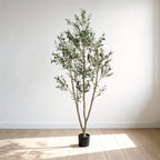 6 ft faux olive tree in its black pot in a bright, empty room with a light wood floor
