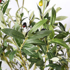 Faux olive tree — detail of the two-tone leaves and a small green olive