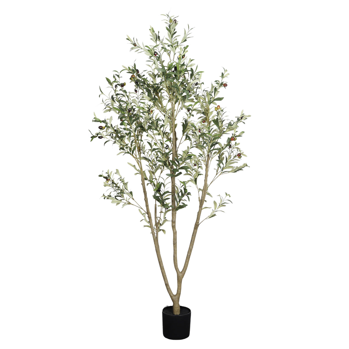 Faux olive tree, 6 ft, with a forked trunk in a black pot on a plain white background