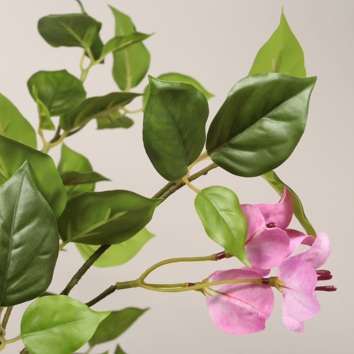 Faux pink bougainvillea tree — detail of the pink flowers and green leaves