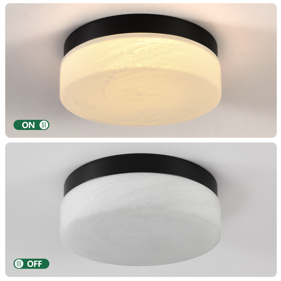 Black 12 in. LED Flush Mount Ceiling Light, Round Low-Profile Fixture
