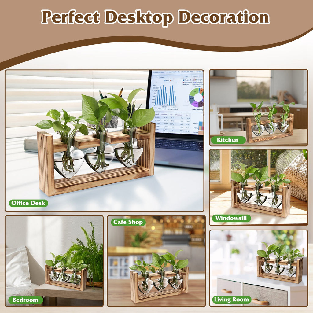 Wood Plant Propagation Station Terrarium, 3 Heart-Shaped Glass Vases