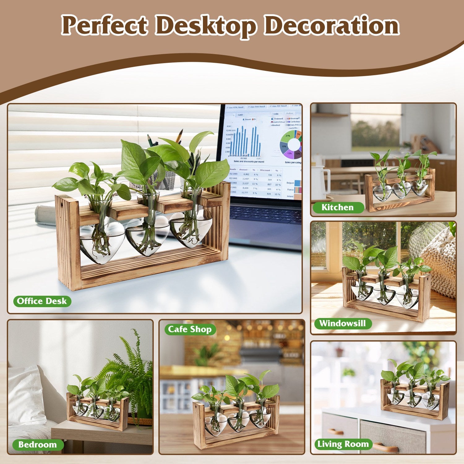 Wood Plant Propagation Station Terrarium, 3 Heart-Shaped Glass Vases