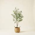1 Artificial Olive Tree on a warm cream background