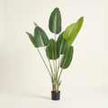 Artificial Birds Of Paradise Tree on a warm cream background