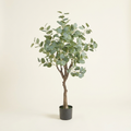 Artificial Eucalyptus Tree on a warm cream background