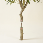 Artificial Olive Tree on a warm cream background