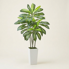 Artificial Dracaena Tree 5 Ft on a warm cream background