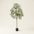 Artificial Olive Tree on a warm cream background